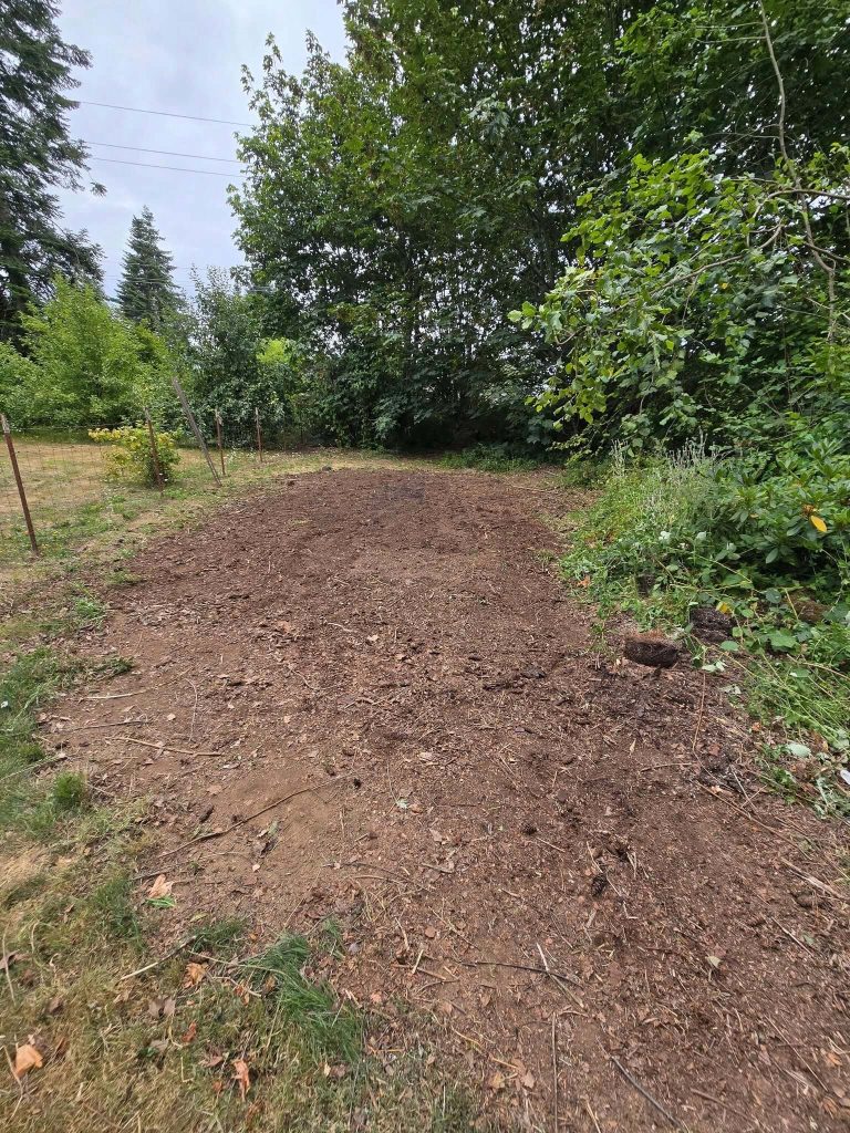 Yard debris cleanup — After
