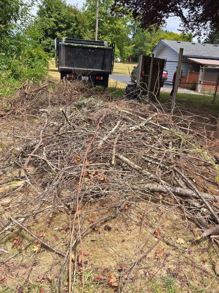Yard debris cleanup — Before