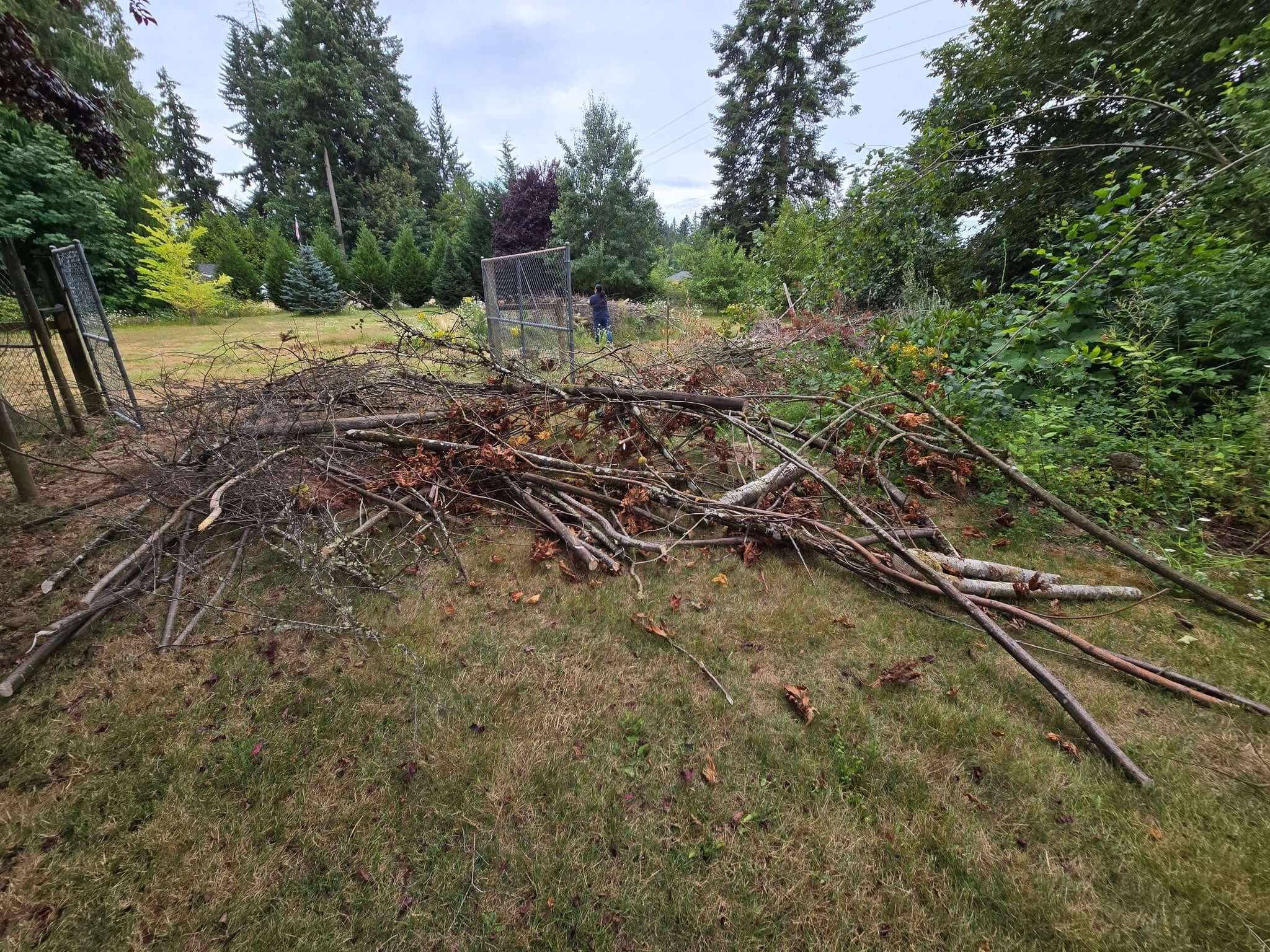A pile of trimmed branches ready for yard debris removal